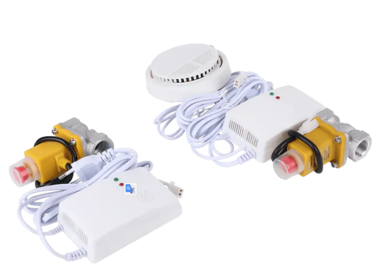 Người truyền tin: Người bảo vệ và đưa tin vào những thời điểm quan trọng